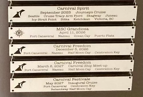 Cruise Boards - Full Size WITH Logo